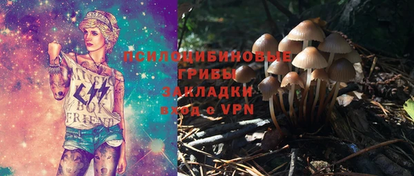 a pvp Вязьма
