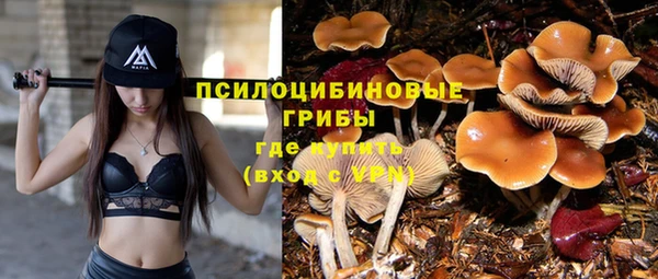 a pvp Вязьма