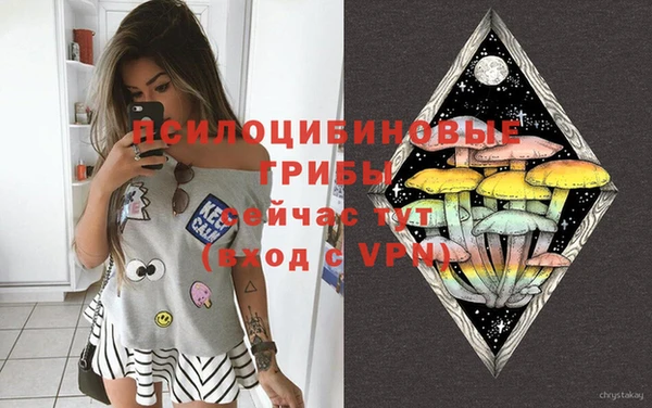 a pvp Вязьма